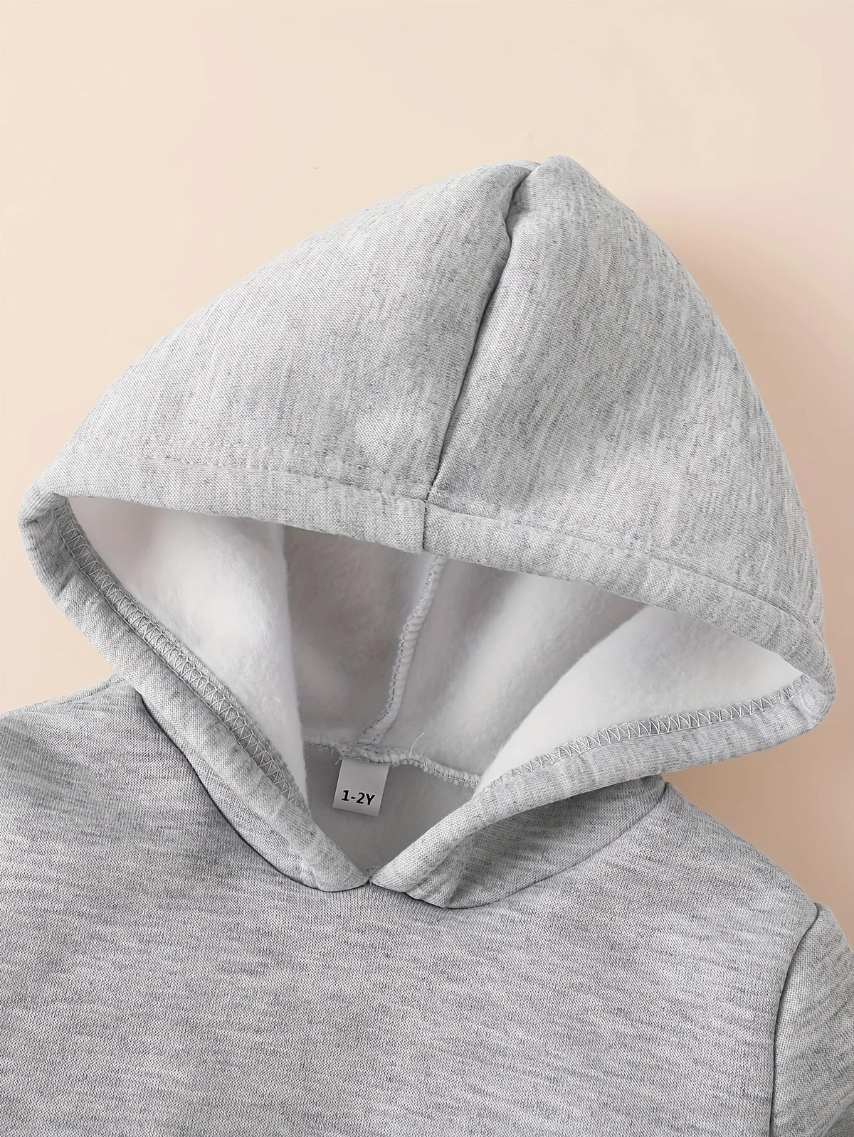 Baby 2Pcs Fleece Hooded Sweatshirt Pants Set