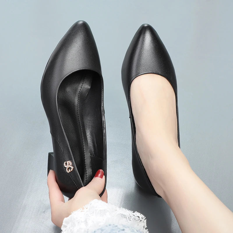 Women's Genuine Leather Pointed Toe Shoes