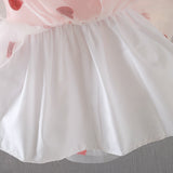 Baby Girls Cute Mesh Little Princess Dress Allmartdeal