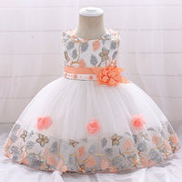 Baby Girls Flower Mesh Embroidered Dress Allmartdeal