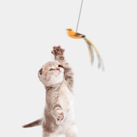 Cat Automatic Lifting Artificial Bird Teaser Toy Allmartdeal