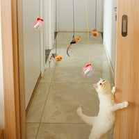 Cat Bird Simulation Retractable Door Hanging Toy Allmartdeal