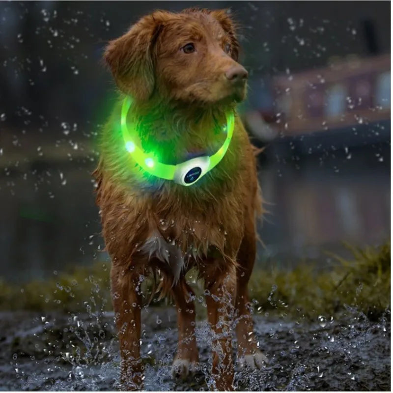 Dog Led Luminous Collar PVC Waterproof Allmartdeal