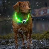 Dog Led Luminous Collar PVC Waterproof Allmartdeal