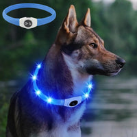 Dog Led Luminous Collar PVC Waterproof Allmartdeal