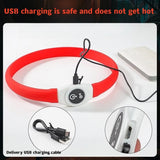 Dog Led Luminous Collar PVC Waterproof Allmartdeal