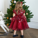 Girls Snowflake Little Princess Christmas Party Dress Allmartdeal