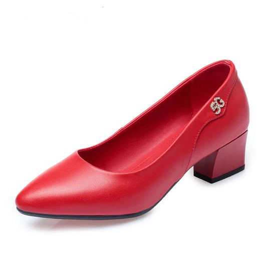 Women's Genuine Leather Pointed Toe Shoes