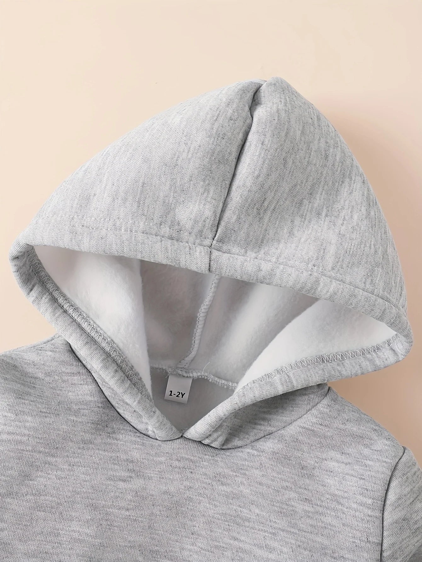 Baby 2Pcs Fleece Hooded Sweatshirt Pants Set