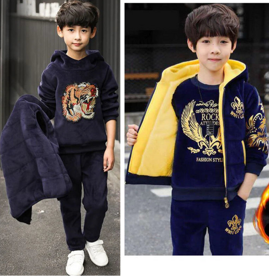 Boys 3Pcs Cartoon Phoenix Tiger Pattern Lining Plush Shirt Vest Pants Set