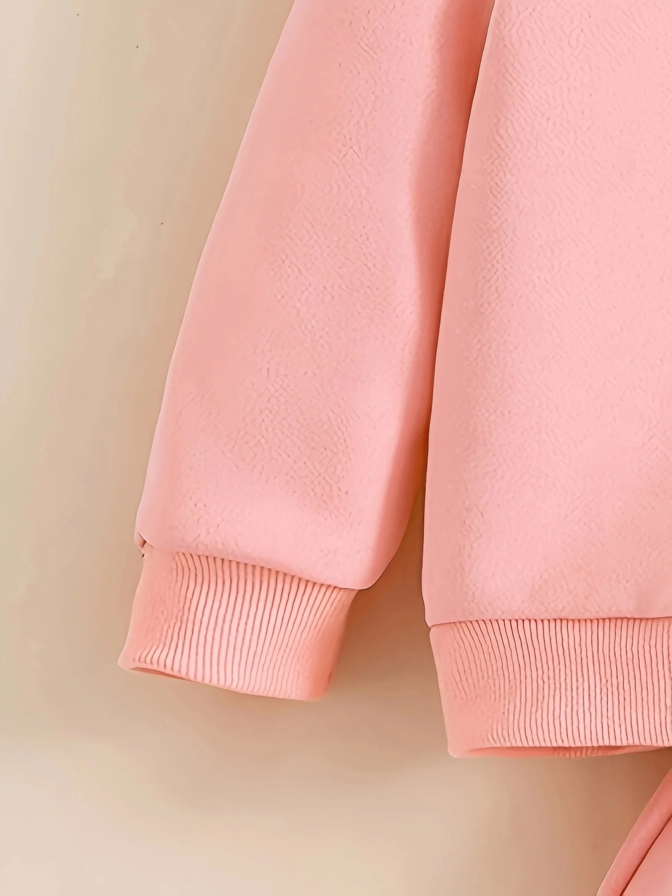 Baby 2Pcs Fleece Hooded Sweatshirt Pants Set