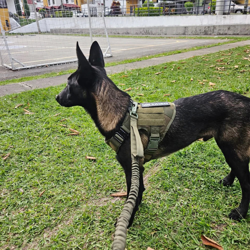Tactical Dog Harness Leash Set For Large Dogs