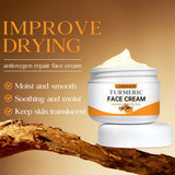 Face Turmeric Whitening Cream Wrinkle Removal Facial Care