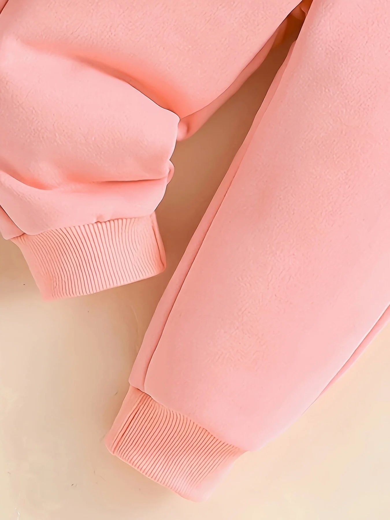 Baby 2Pcs Fleece Hooded Sweatshirt Pants Set