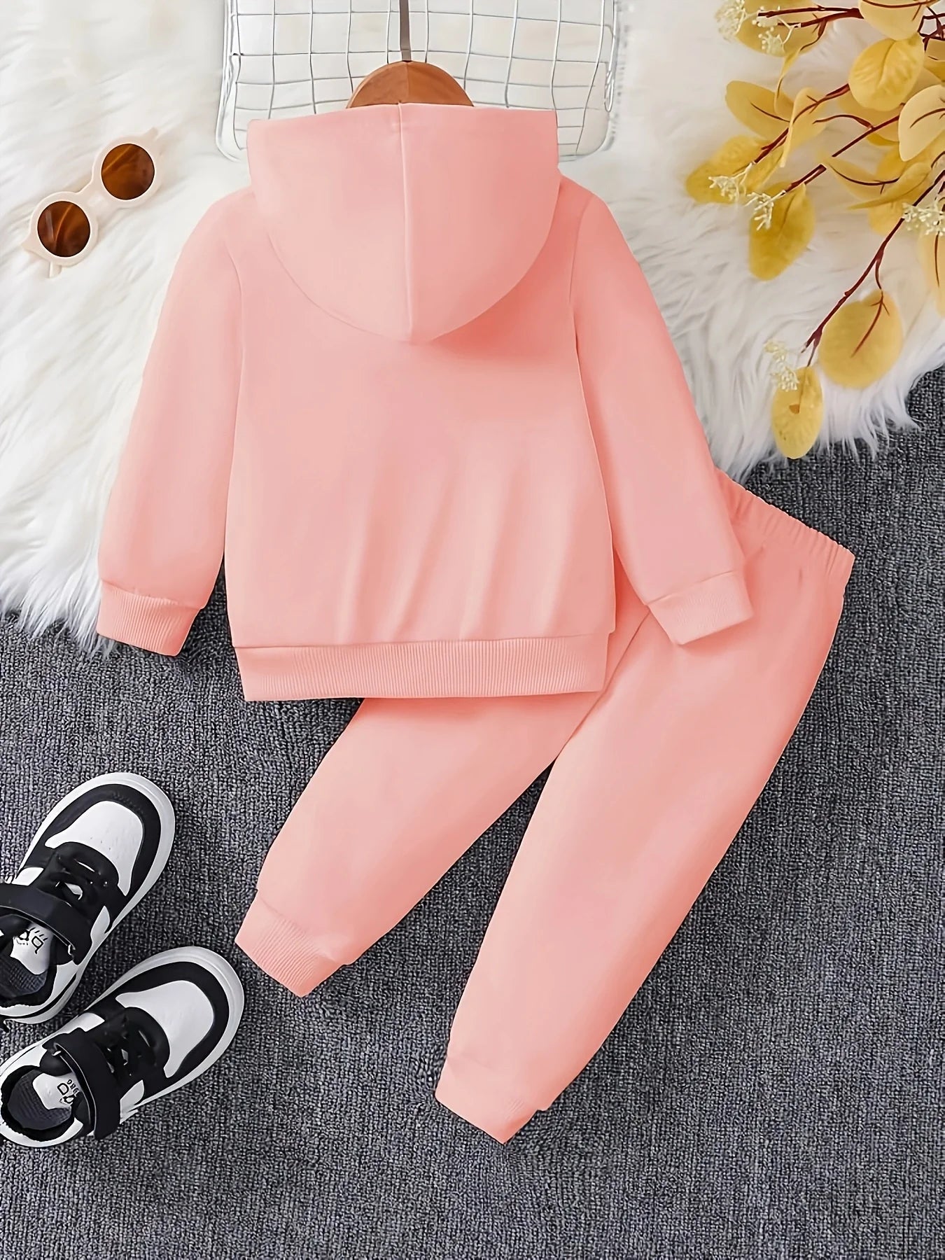 Baby 2Pcs Fleece Hooded Sweatshirt Pants Set